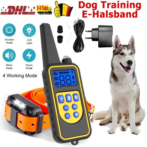 Elektroschock pet dog training - elektroschock,