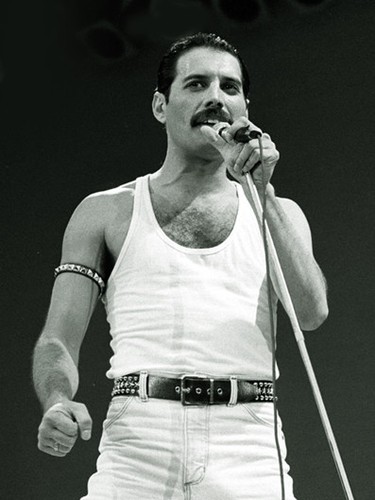 Queen freddie mercury - freddie,