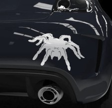 Auto Aufkleber Vogelspinne