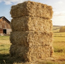 Heuballen HD Bund Ernte 2025 -