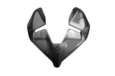 Carbon Frontverkleidung für