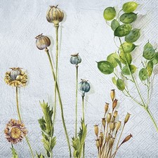 3 SERVIETTEN 25 X 25 / NATUR