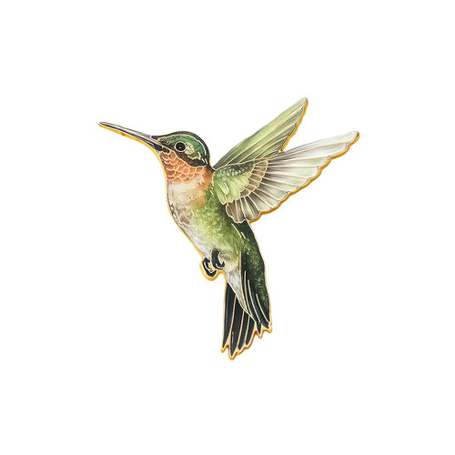 Schöne kleine kolibri - schöne, emaille