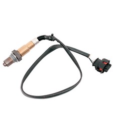 Lambdasonde nach Kat