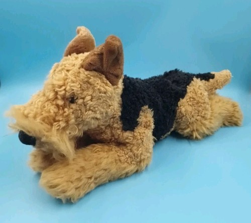 Fox terrier hund liegend - hund,