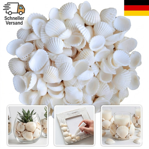 Muscheln deko 150 stück - deko,,