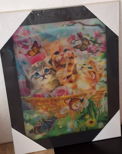 Bild katzenbild - 3d-bild,