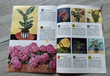 Zimmerpflanzen im Porträt 1960er Katalog