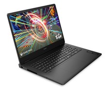 HP OMEN Gaming Laptop 17,3"
