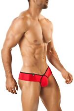 Joe Snyder Shining Pride