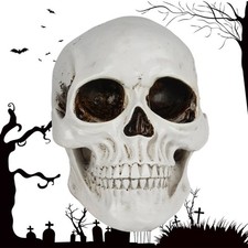 Realistisches menschliches