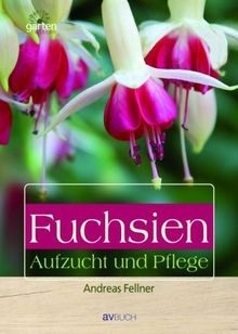 Fuchsien aufzucht und - fuchsien:,