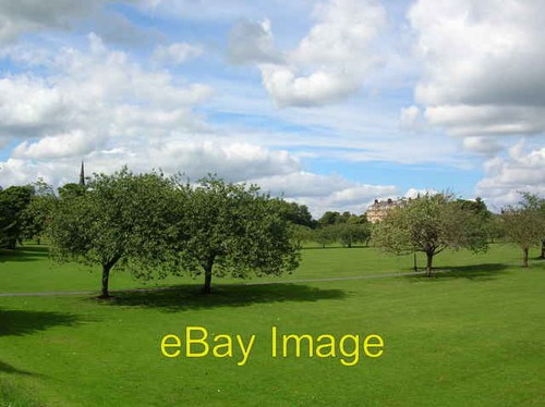 Foto 6x4 kirschbaum - foto,