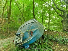 Foto Abzug Profi ca.13x18cm