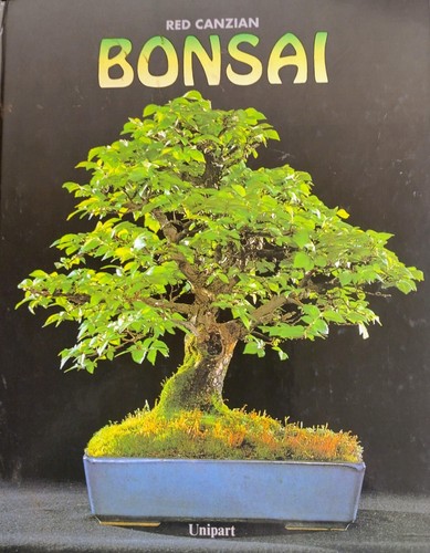 Bonsai die schönsten bäume - bonsai,,