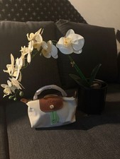 Longchamp le Pliage Beige