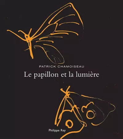 Papillon la lumière - et,