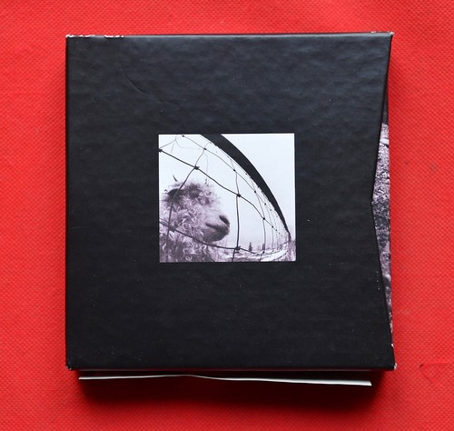 Pearl jam vitalogy - pearl, –