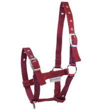 Fohlenhalfter Halfter