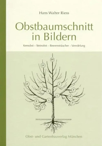 Obstbaumschnitt bildern - obstbaumschnitt, in