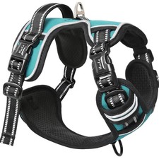 Hundegeschirr ohne Zug für