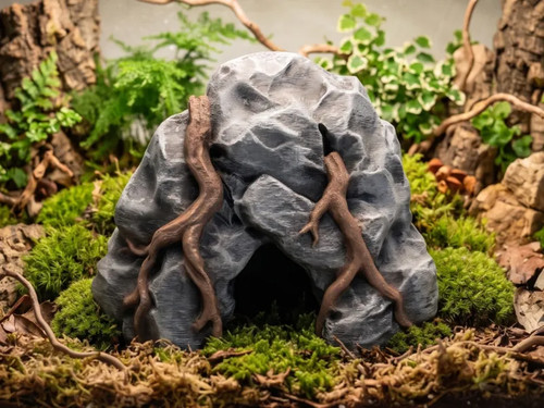 Höhle mit wurzeln terrarium - mit,