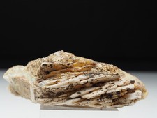 Baryt, 2. Sohle, Rothirschner