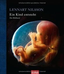 Ein kind entsteht der - entsteht,