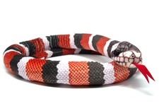 Kuscheltier - Schlange Königsnatter - 145 cm lang