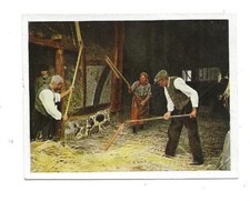 69/434 SAMMELBILD GETREIDE DRESCHEN DRESCHFLEGEL SCHWERE ARBEIT  WERTVOLLES BROT