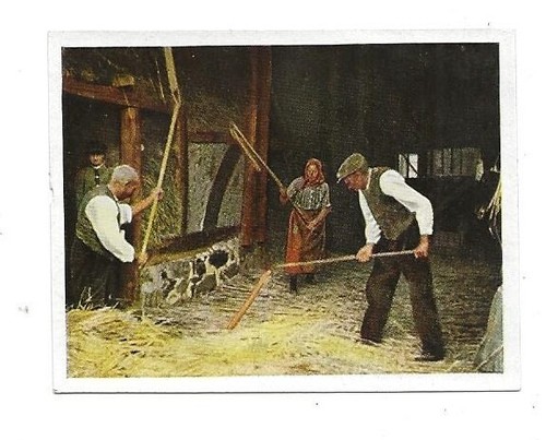 434 sammelbild getreide - sammelbild,