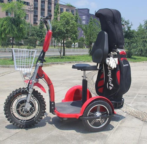Zappy 1000w 48v - zappy, elektrischer