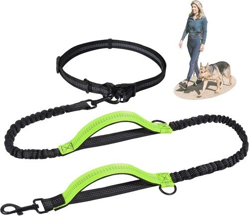 Joggingleine hunde jogging - joggingleine,