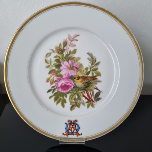 Teller porzellan bemalt vogel - teller,