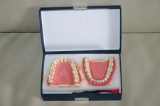 Frasaco set modell gebiss - modell,