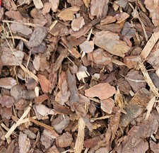 Premium Mulch / Pinie / 00 -