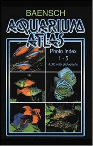 Photo index aquarium - photo, 1-5)