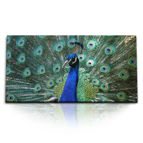 120x80cm kunstdruck bilder - kunstdruck,