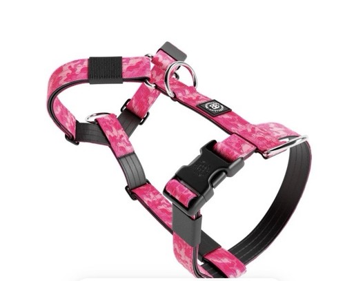 Bully billows geschirr - bully,