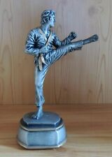 Kampfsport Figur viele Motive