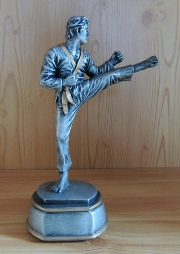 Kampfsport figur viele motive - figur,