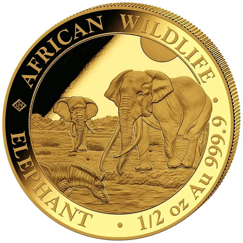 Somalia 500 2026 elefant - 500,