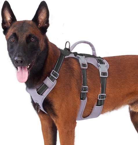 Sicherheitsgeschirr hund - sicherheitsgeschirr,