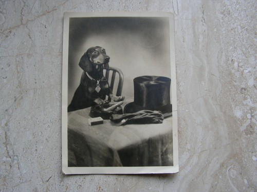 Postkarten mit briefmarke - briefmarke, aus