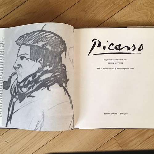 Buch maler picasso - buch:,
