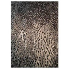 Vogelaugen Furnier gemuschelt schwarz SaRaiFo 250x32cm