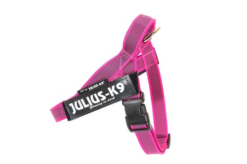 Juliusk9 idc color - juliusk9,, &