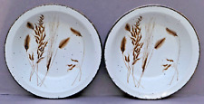 Midwinter Stonehenge WILD OATS  2 von 4 Suppenteller Ø 22 cm  sehr gut  Wedgwood