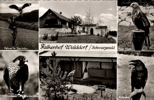 Walddorf altensteig - ak,
