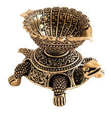 Gheelampe Schildkröte